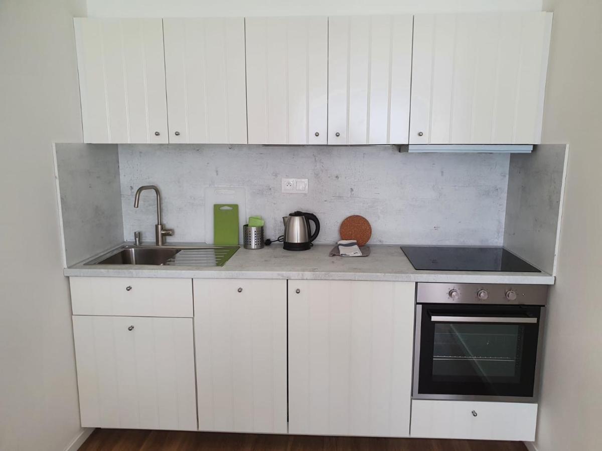 Apartment Stylish With Terrace And Garage In The Center Pilsen